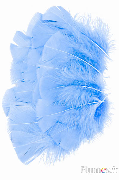 Kalkoen - 6-8 cm - blauwhemel
